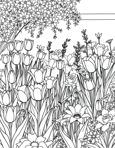 Beautiful Garden With Colorful Flowers