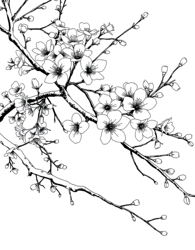 Peaceful Scene Of Nature'S Artistry