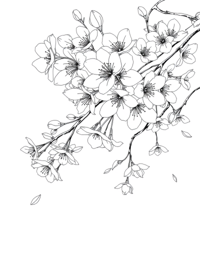 Pink Petals Falling Gently Down