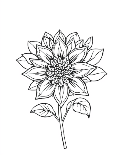 Detailed Designs For Intricate Coloring
