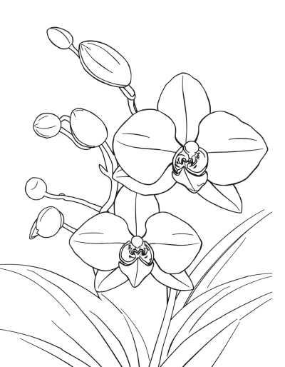 Exotic Orchids: A Feast For The Eyes