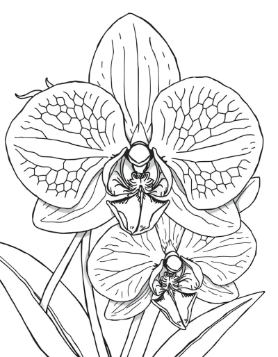 Intricate Patterns On Delicate Petals