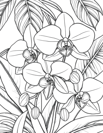 Tropical Paradise In Every Petal