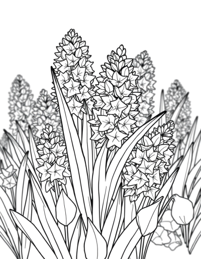 A Garden Filled With Colorless Hyacinths