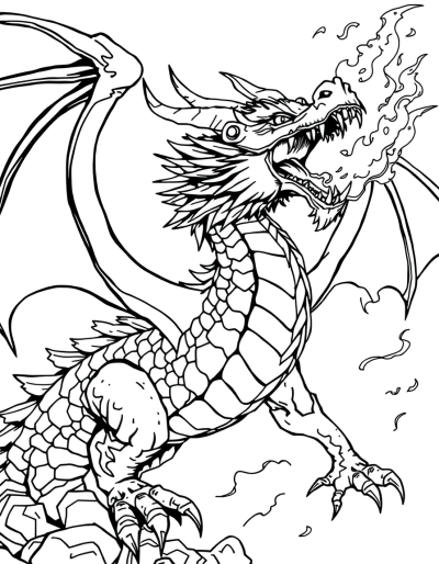 Fierce Dragon Breathing Fire