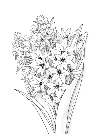 Paper Covered Hyacinth Stems With Flowers