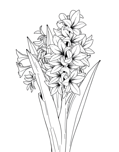 Paper Wrapped Hyacinth Stems With Colorless Flowers