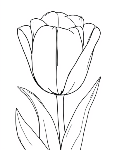 A Pink Tulip With Green Leaves