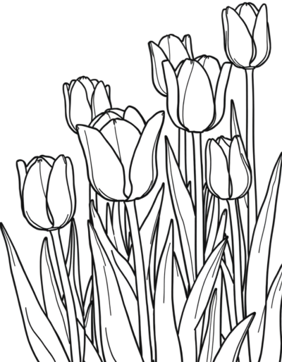Monochrome Tulip Garden Scene
