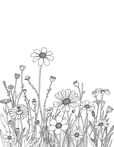 Colorful Meadow Filled With Wildflowers