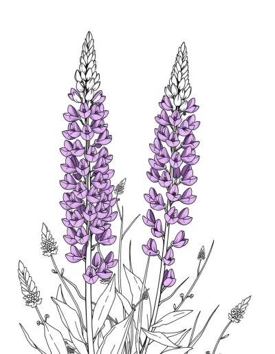 Purple Lupines Swaying In Breeze