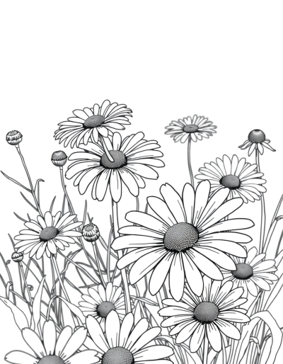 Dull Daisies In A Desolate Garden