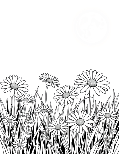 Ghostly Daisies In A Moonlit Meadow