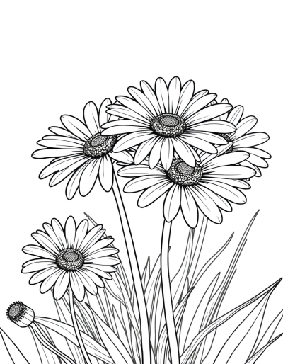 Monochrome Daisies Waiting To Bloom