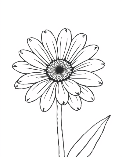 A Colorless Daisy Outline