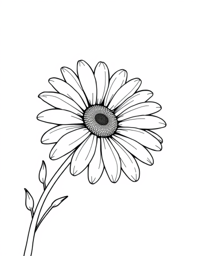 A Daisy Drawing With No Color