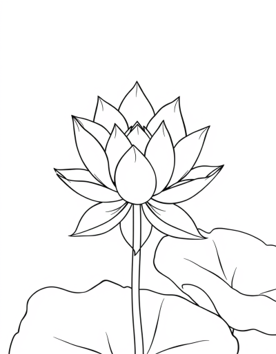 Color The Elegant Lotus Flower