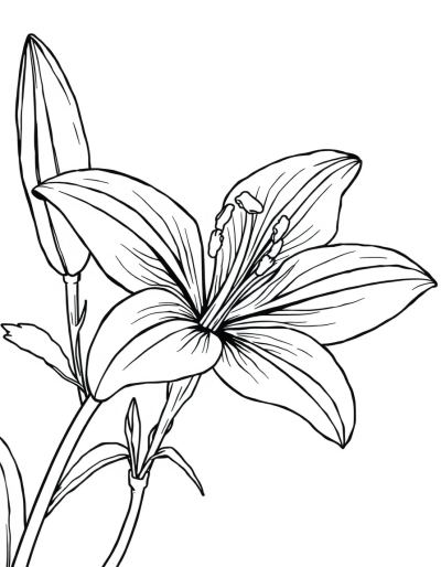 A Blank Canvas Waiting For Color