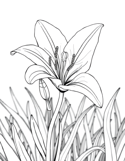 A Monochromatic Lily In A Field