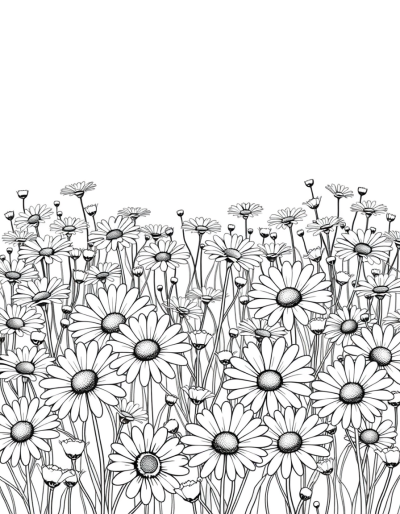 Endless Meadow Of Blossoms