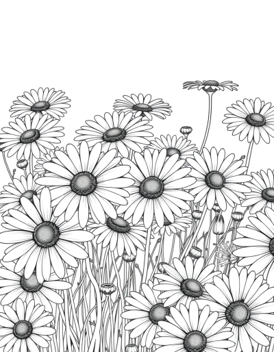 Magical Garden Of White Daisies