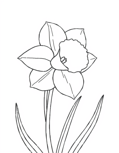 Color The Daffodil Yellow
