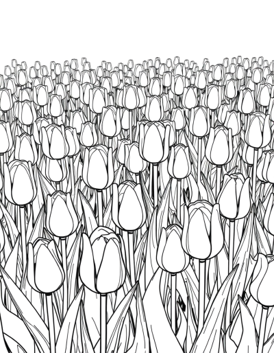 Field Of Tulips In Grayscale