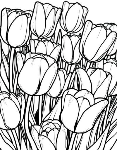 Thousands Of Tulips In Monochrome