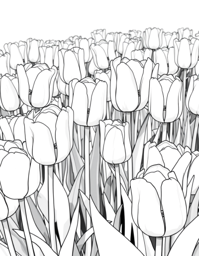 Vibrant Rainbow Of Tulips Waiting