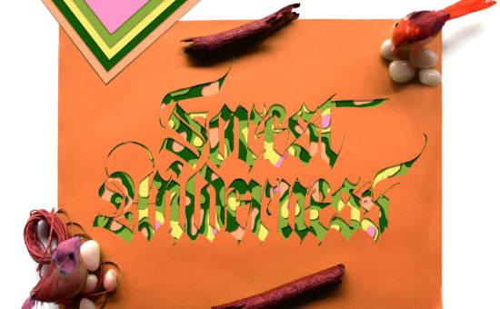 Perfect for DIY & Personalized Projects